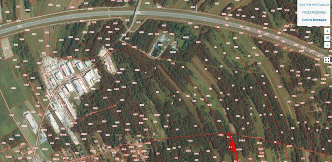 Działka leśna Jodłówka gm. Rzezawa