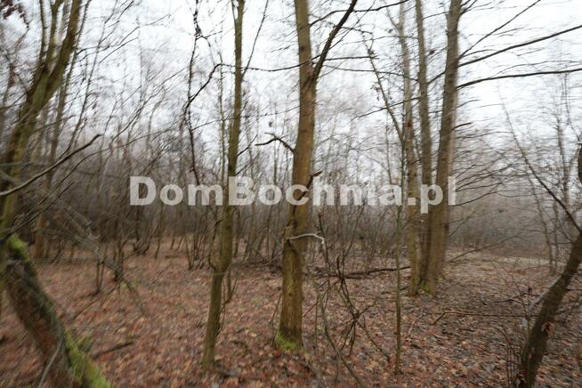 Działka leśna Jodłówka gm. Rzezawa