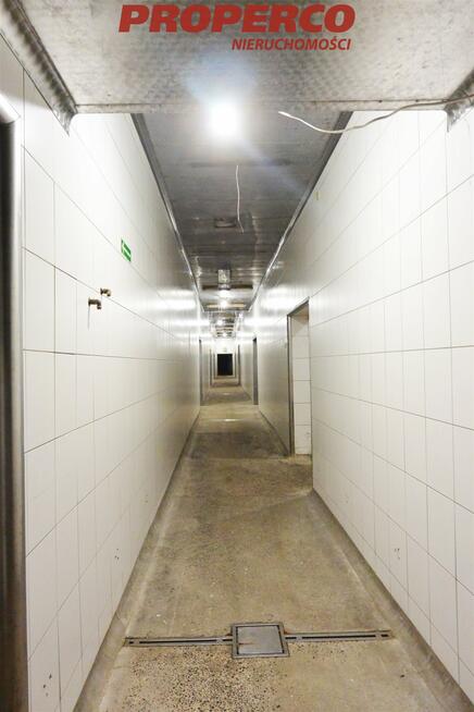 Lokal użytkowy Piekoszów