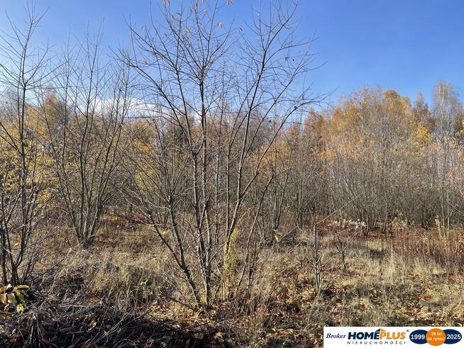 Działka budowlana 5428 m² Słupno – wszystkie media