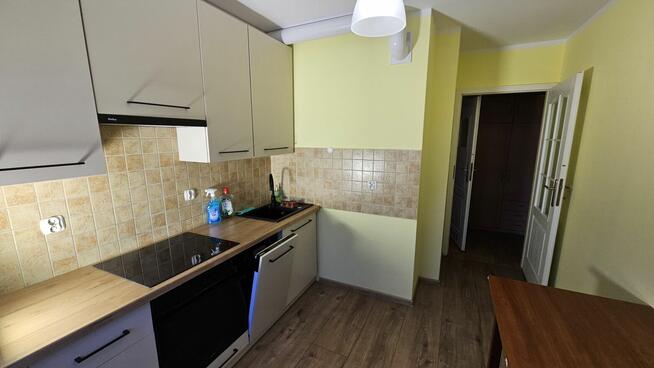 do wynajęcia 2 pokojowe we Wrocławiu