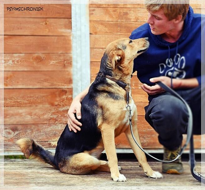 Sawa – spójrz na nią tak, jak ona patrzy na człowieka