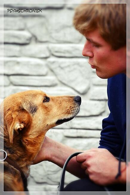 Sawa – spójrz na nią tak, jak ona patrzy na człowieka