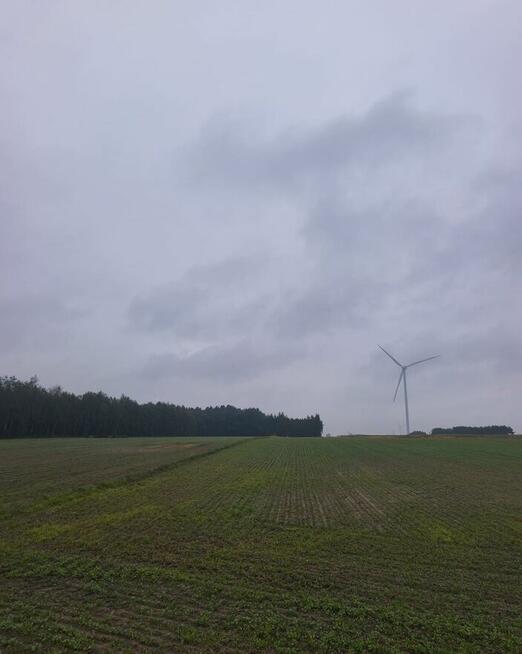 ️Działka rolna z lasem i przeznaczeniem inwestycyjnym (PU)