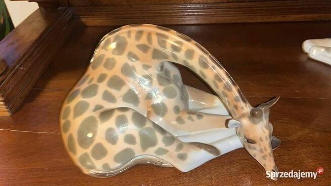 Żyrafa Łomonosow z Rosyjskiej wytwórni porcelan