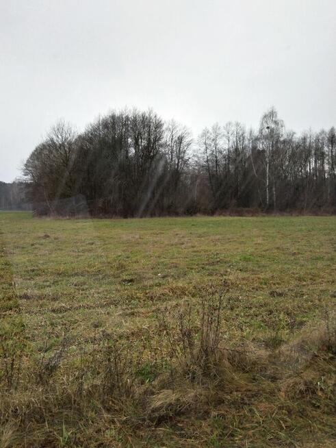 Nieruchomość Ziemia Rolna Sprzedam gmina Kodeń 3,26 h