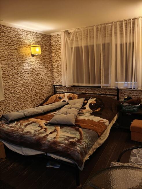 Działka Rekreacyjna w Żurczynie! Z Basenem!