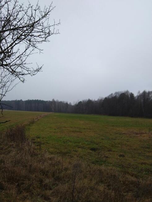 Nieruchomość Ziemia Rolna Sprzedam gmina Kodeń 3,26 h