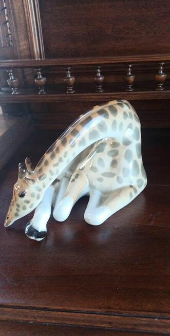 Żyrafa Łomonosow z Rosyjskiej wytwórni porcelan