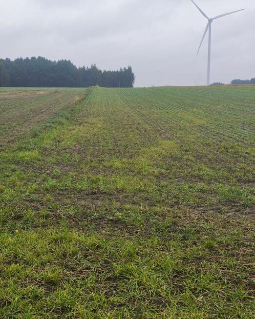 ️Działka rolna z lasem i przeznaczeniem inwestycyjnym (PU)