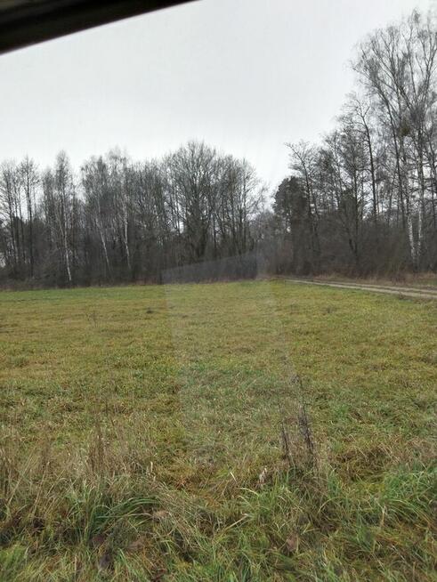 Nieruchomość Ziemia Rolna Sprzedam gmina Kodeń 3,26 h