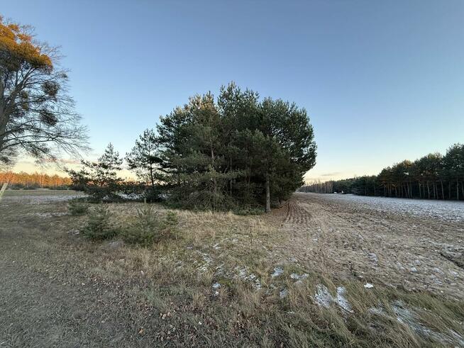 OFERTA SPRZEDAŻY DZIAŁEK – JÓZEFOWO, GMINA SŁUPCA