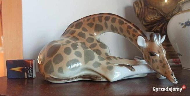 Żyrafa Łomonosow z Rosyjskiej wytwórni porcelan