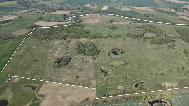 Działki rolne 247 ha / las / linia brzegowa rzeki Łyny / pot