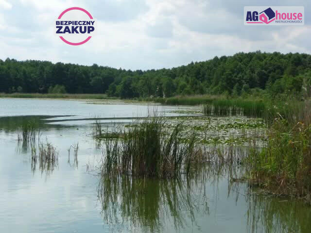 Działka siedliskowa Ciechocin gm. Chojnice,