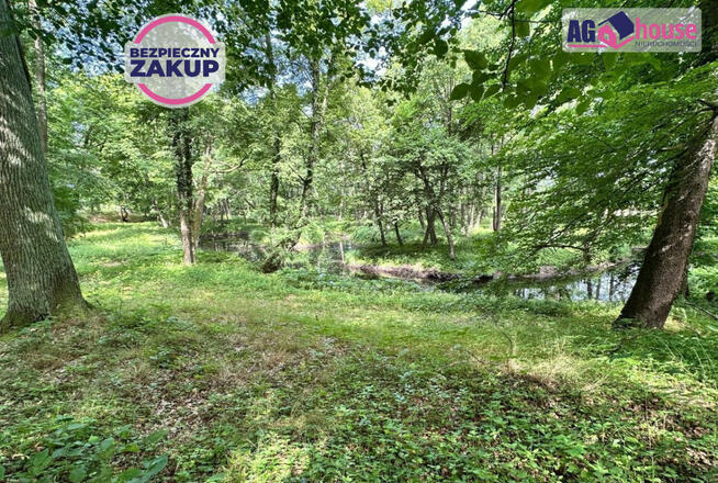Działka inwestycyjna Bożepole Wielkie gm. Łęczyce, Chmieleniecka