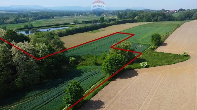 Działka z lasem i widokiem na góry 4 ha