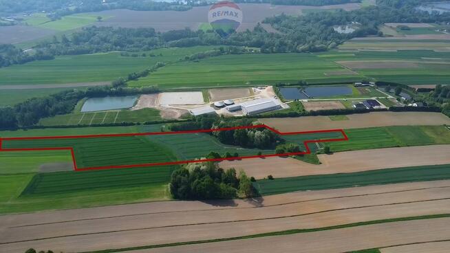 Działka z lasem i widokiem na góry 4 ha