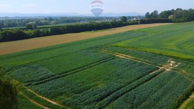 Działka z lasem i widokiem na góry 4 ha