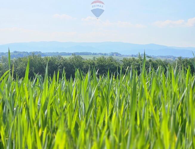 Działka z lasem i widokiem na góry 4 ha