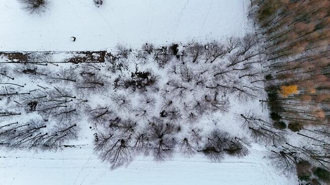 Działka budowlana Besko,