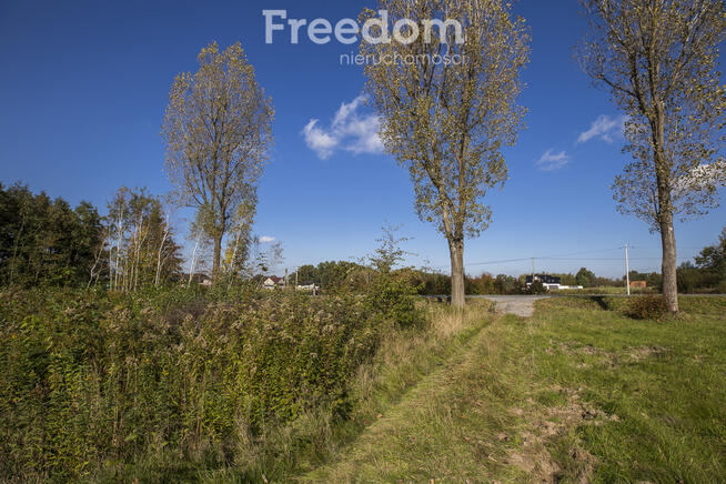 Działka inwestycyjna przy DK94 – Machowa