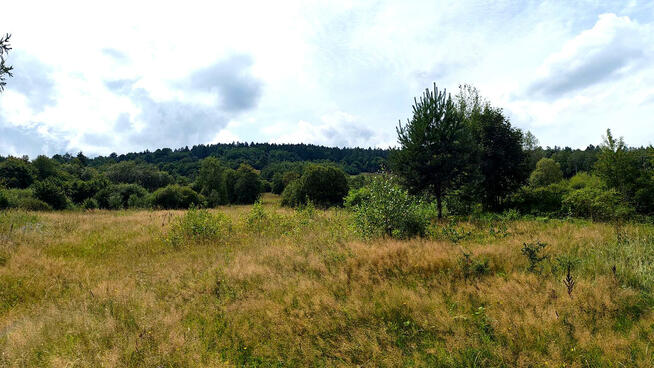 Działka inwestycyjna Małastów gm. Sękowa