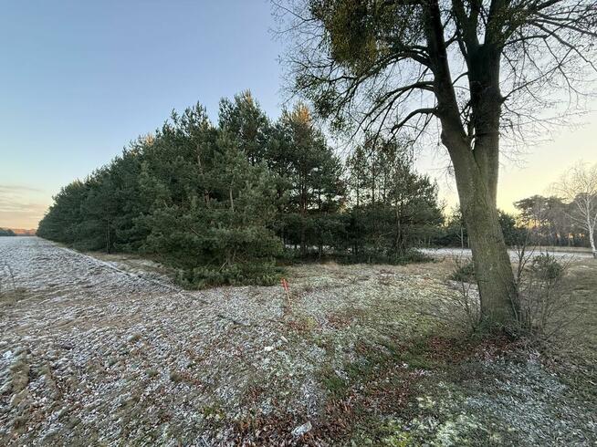 OFERTA SPRZEDAŻY DZIAŁEK – JÓZEFOWO, GMINA SŁUPCA