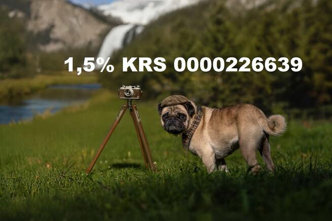 Małe kameralne schronisko szuka pracownika -aktualne