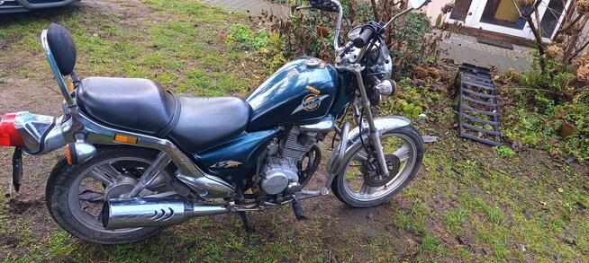 Dealim vs 125 na kat b