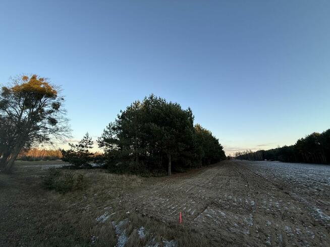 OFERTA SPRZEDAŻY DZIAŁEK – JÓZEFOWO, GMINA SŁUPCA