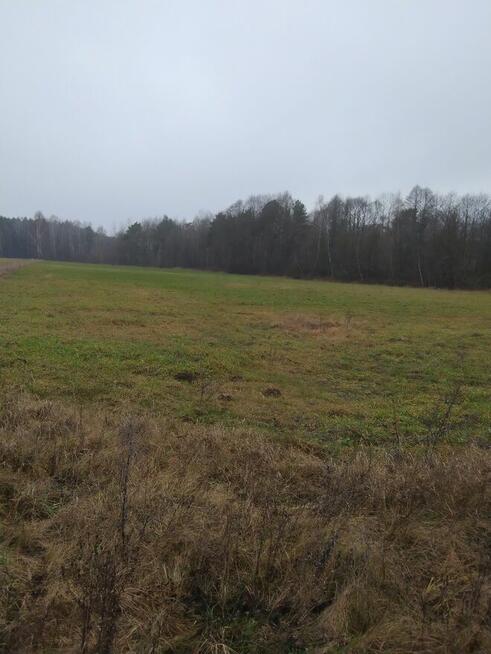 Nieruchomość Ziemia Rolna Sprzedam gmina Kodeń 3,26 h