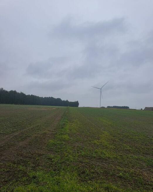 ️Działka rolna z lasem i przeznaczeniem inwestycyjnym (PU)