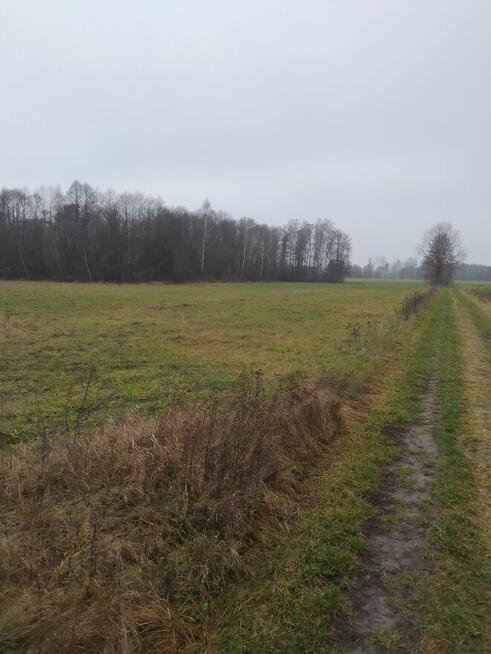 Nieruchomość Ziemia Rolna Sprzedam gmina Kodeń 3,26 h