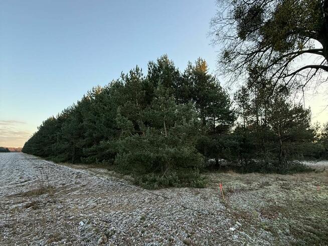 OFERTA SPRZEDAŻY DZIAŁEK – JÓZEFOWO, GMINA SŁUPCA