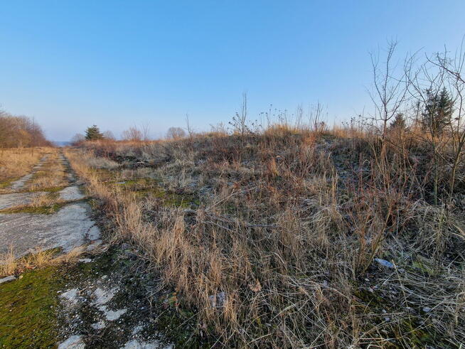 Nieruchomość na sprzedaż