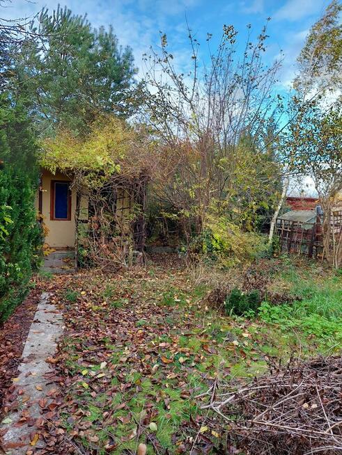 Działka rekreacyjno-ogrodowa