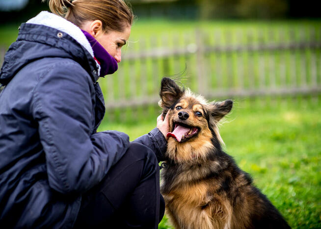 MACGYVERchce kontaktu z człowiekiem–bądź mu na smutek lekiem