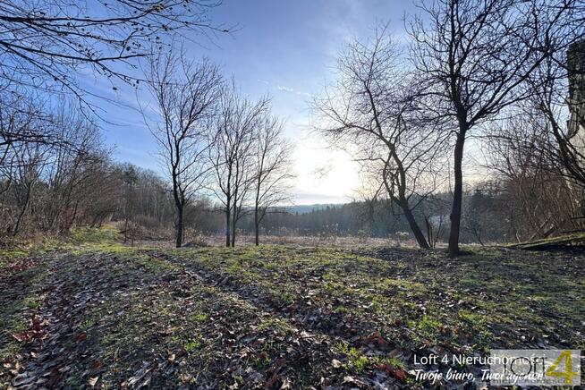 Dom Rzepiennik Marciszewski gm. Gromnik
