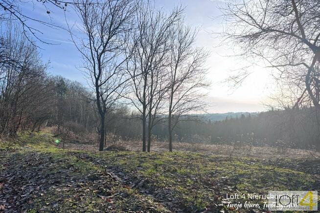 Dom Rzepiennik Marciszewski gm. Gromnik