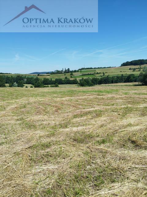 Działka rolno-budowlana Kobielnik gm. Wiśniowa