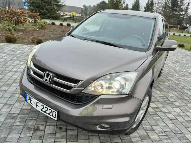 Honda CR-V Xenon benzyna alcantara climatronic