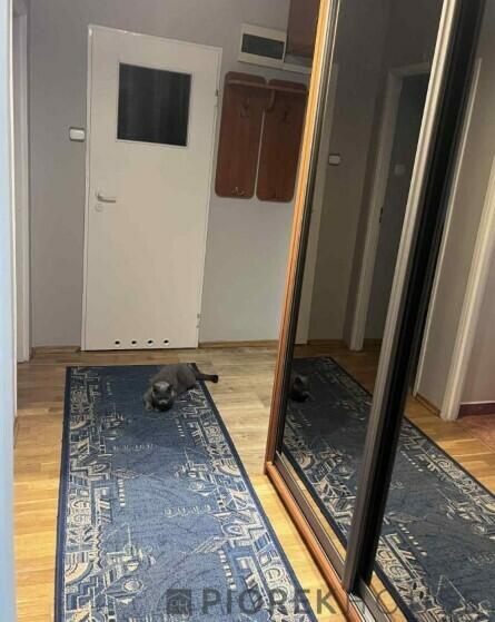 2-pokojowe na Białołęce