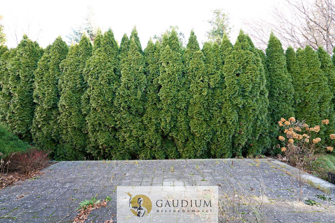 Kameralny dom w Rumi