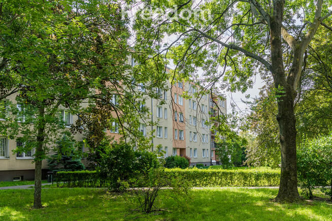 Dwupokojowe mieszkanie w świetnej lokalizacji