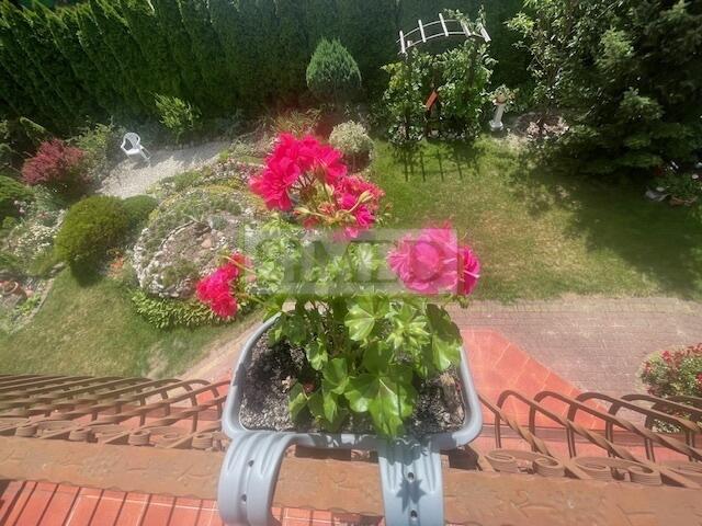 Dom z dużą działką i ogrodem , Centrum Łomianek