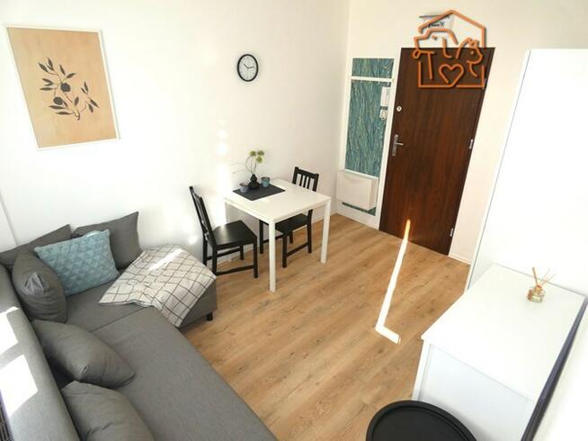 Wynajmę kawalerkę przyjazną dla zwierząt, Nasyp 2