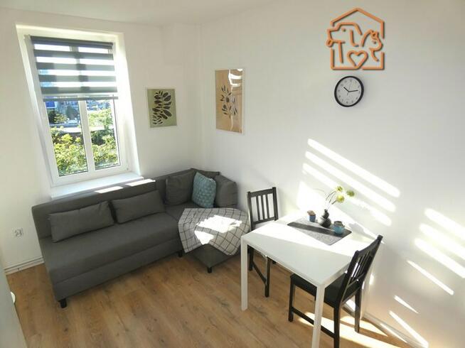 Wynajmę kawalerkę przyjazną dla zwierząt, Nasyp 2