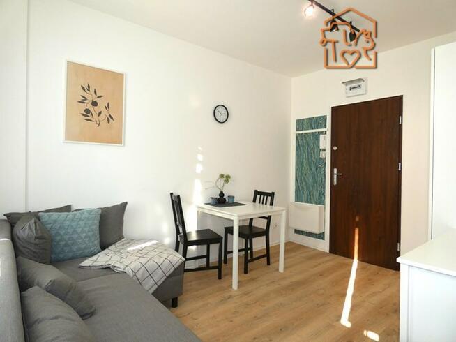 Wynajmę kawalerkę przyjazną dla zwierząt, Nasyp 2