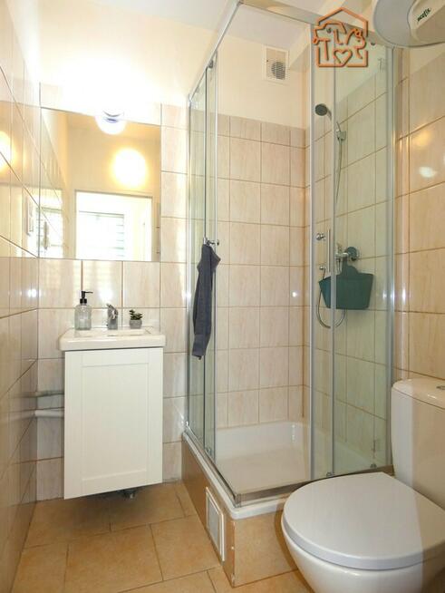 Wynajmę kawalerkę przyjazną dla zwierząt, Nasyp 2